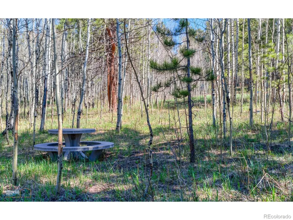 87 Sundance Circle Nederland CO 80466