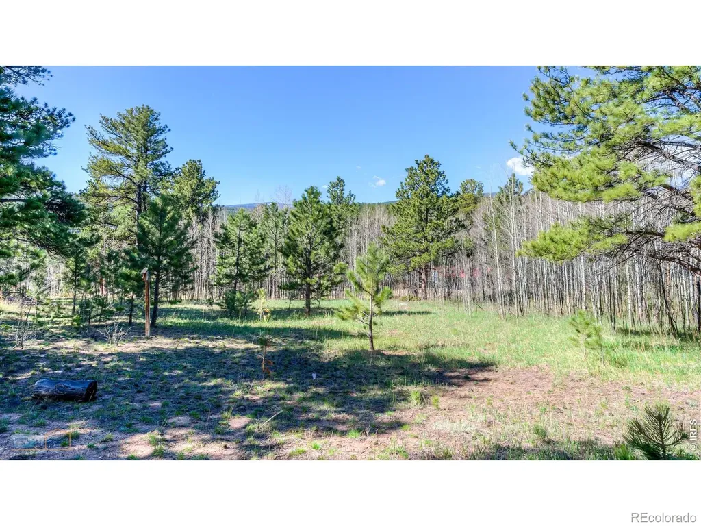 87 Sundance Circle Nederland CO 80466