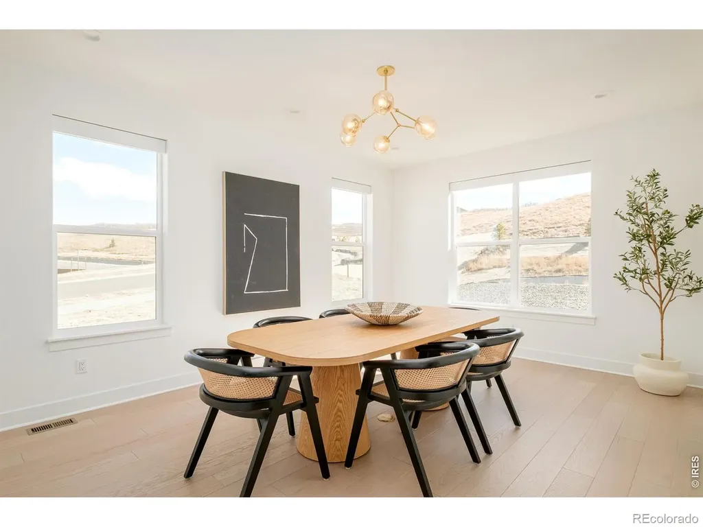 1158 Brotherton Point Castle Rock CO 80104