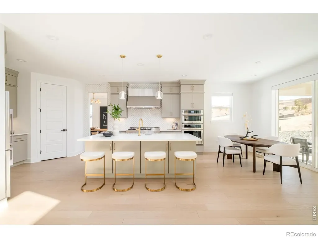 1158 Brotherton Point Castle Rock CO 80104