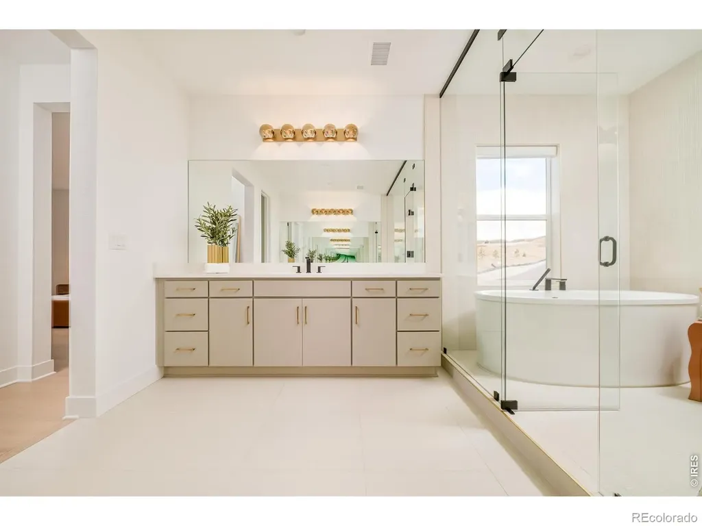 1158 Brotherton Point Castle Rock CO 80104