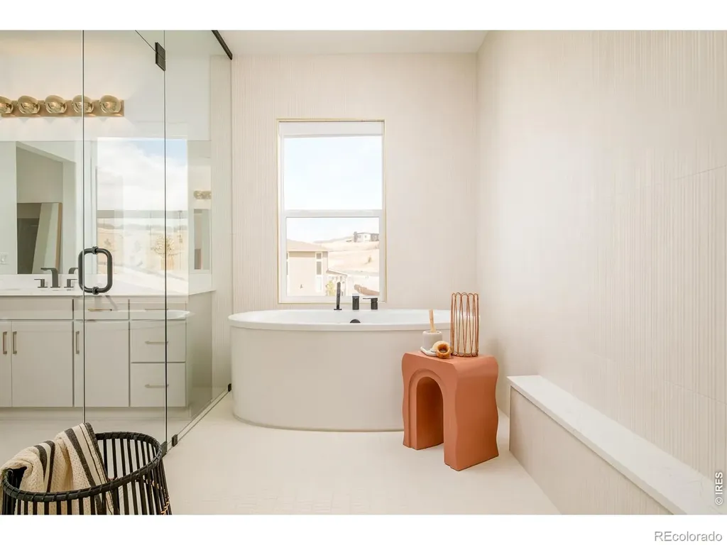1158 Brotherton Point Castle Rock CO 80104