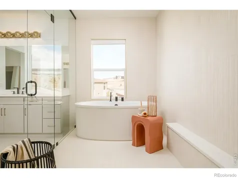 1158 Brotherton Point Castle Rock CO 80104