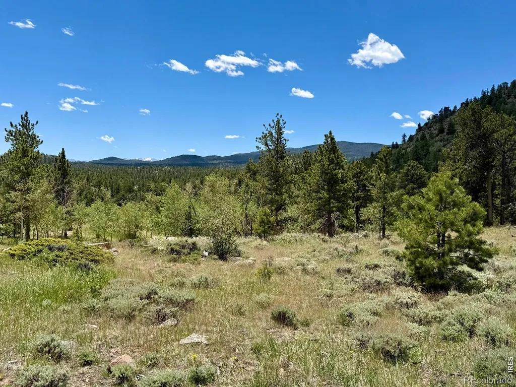 251 Huron Road Red Feather Lakes CO 80545