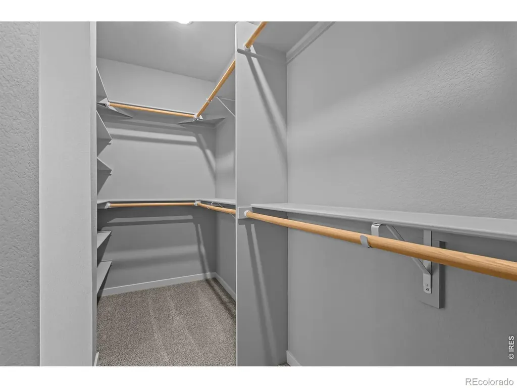 2769 Blue Iris Drive Loveland CO 80538