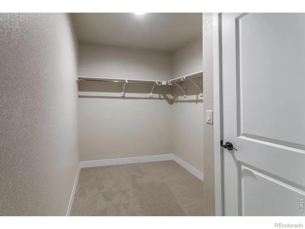 4763 Degas Drive Loveland CO 80538