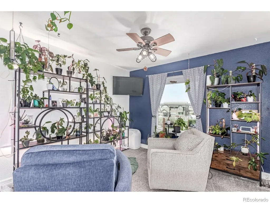 1451 Red Fox Circle Severance CO 80550