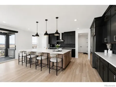 5423 Brotherton Court Castle Rock CO 80104