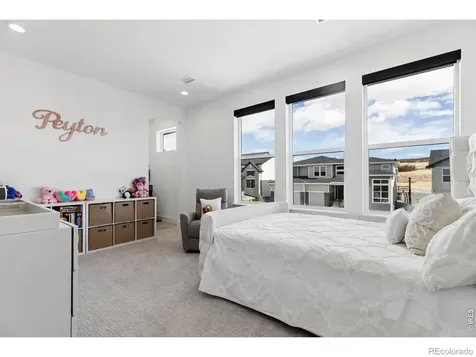 5423 Brotherton Court Castle Rock CO 80104