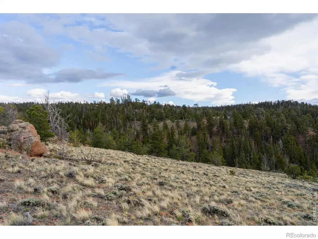 0 Laramie Overlook Roads Livermore CO 80536