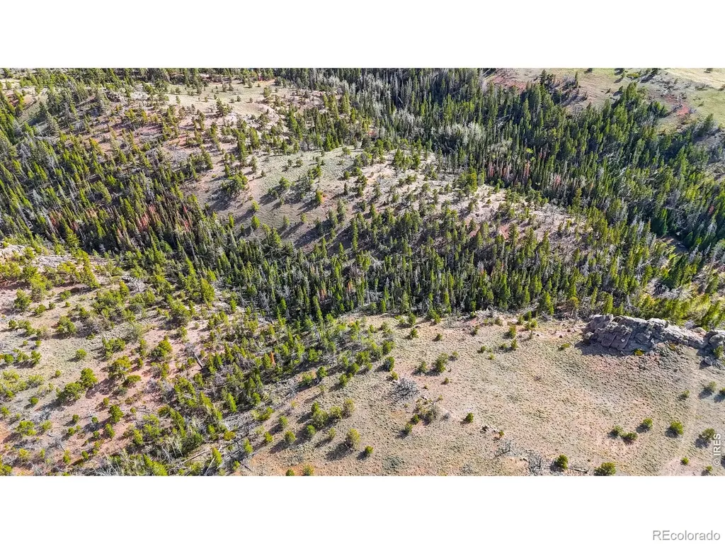 0 Laramie Overlook Roads Livermore CO 80536