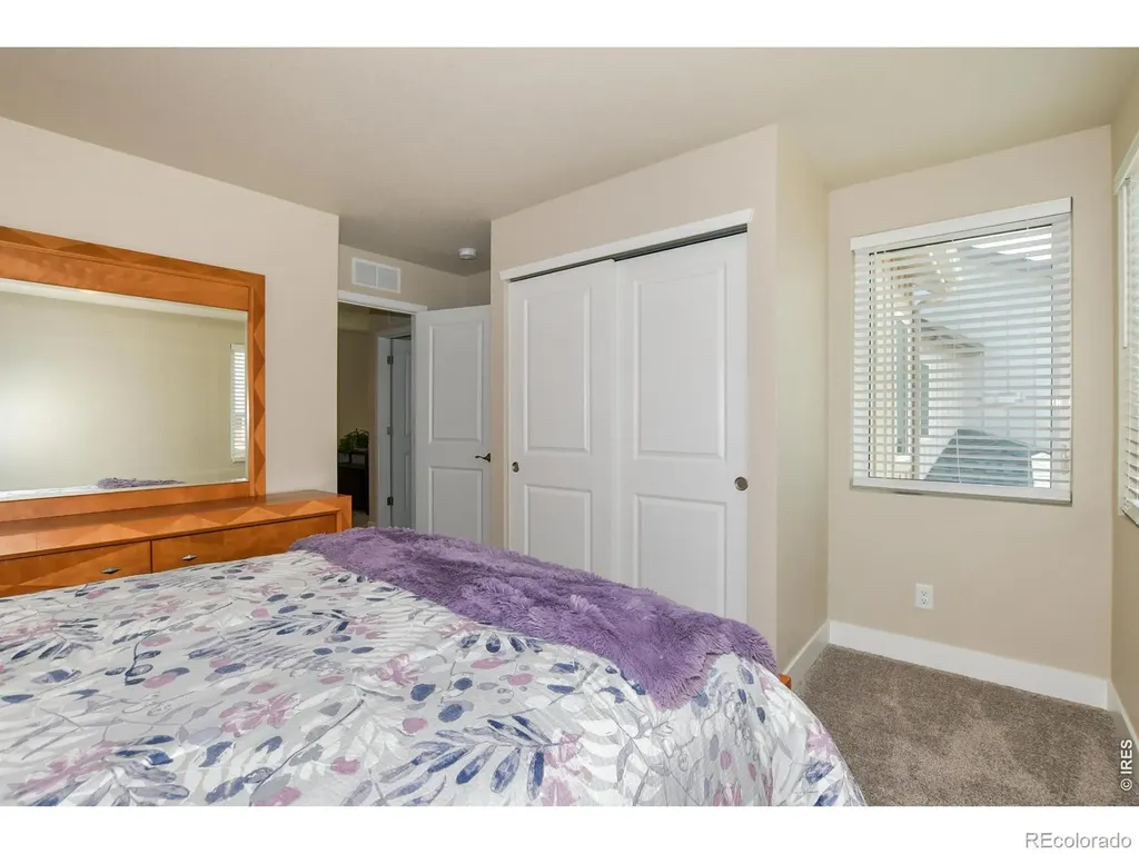 3163 Da Vinci Drive Loveland CO 80538