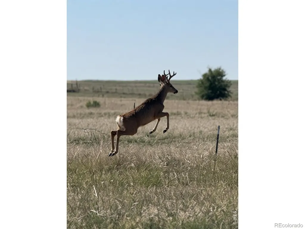 41219 County Road 84 Briggsdale CO 80611