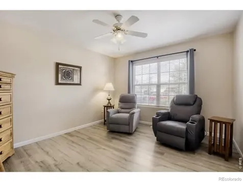 1012 Basin Court Windsor CO 80550