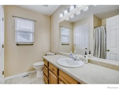 1012 Basin Court Windsor CO 80550