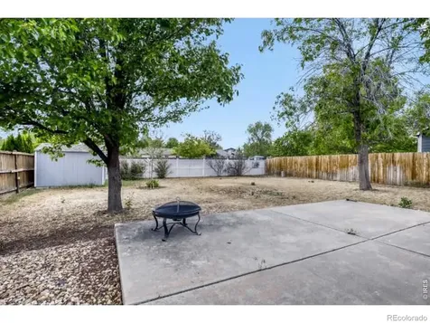 1012 Basin Court Windsor CO 80550