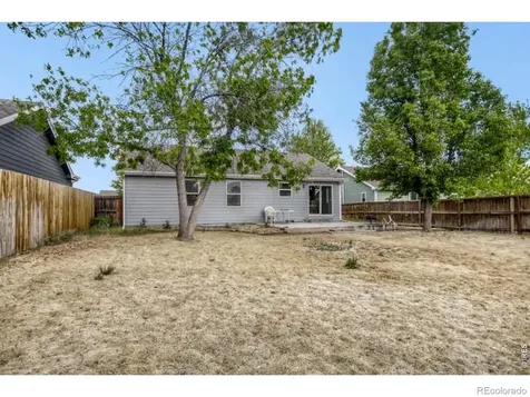 1012 Basin Court Windsor CO 80550