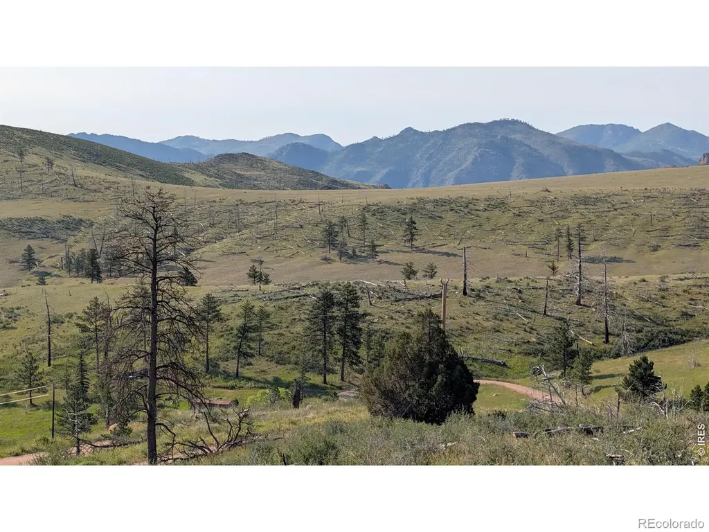2185 Eiger Road Livermore CO 80536