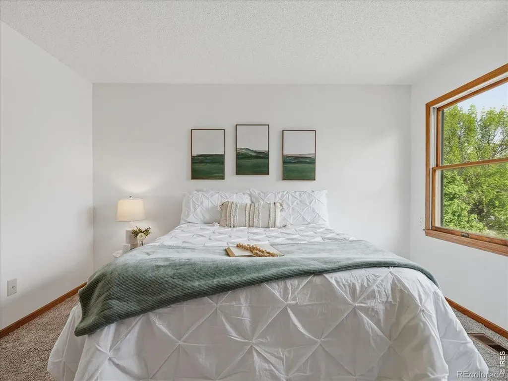 244 E 42nd Street Loveland CO 80538