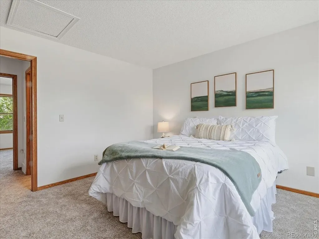 244 E 42nd Street Loveland CO 80538