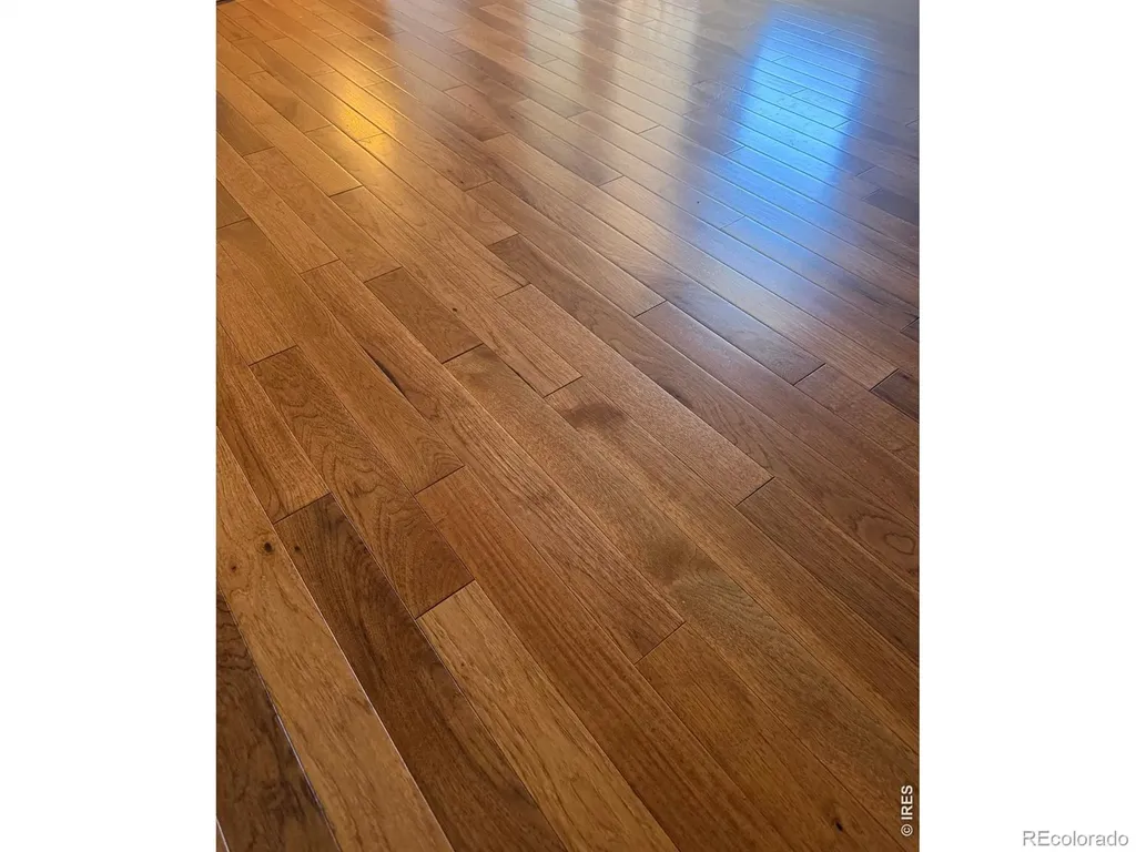 1505 Dryland Street Loveland CO 80538