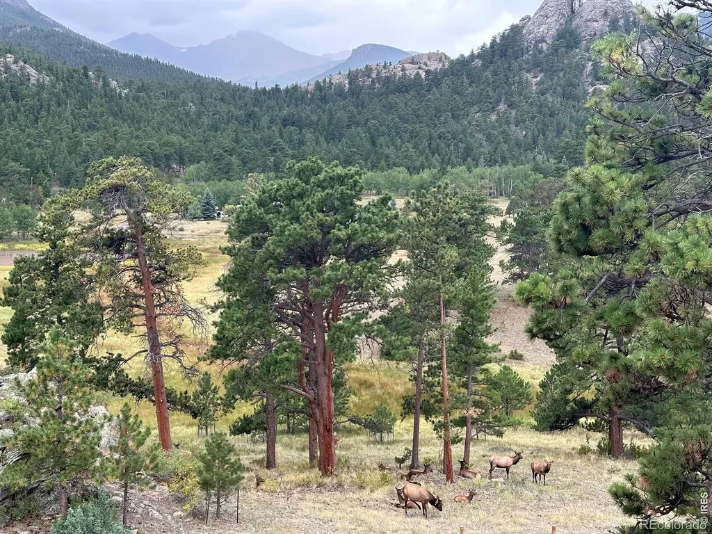 3495 Saint Francis Way Estes Park CO 80517