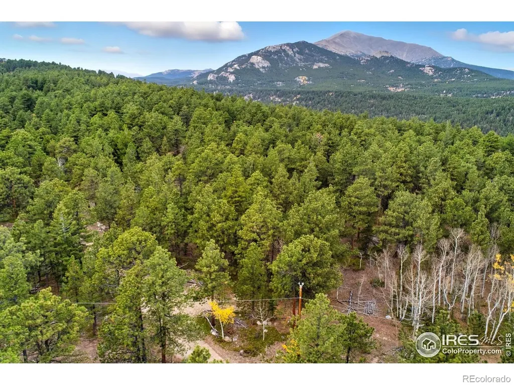 0 County Road 84 W Allenspark CO 80510