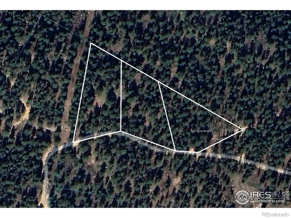 0 County Road 84 W Allenspark CO 80510