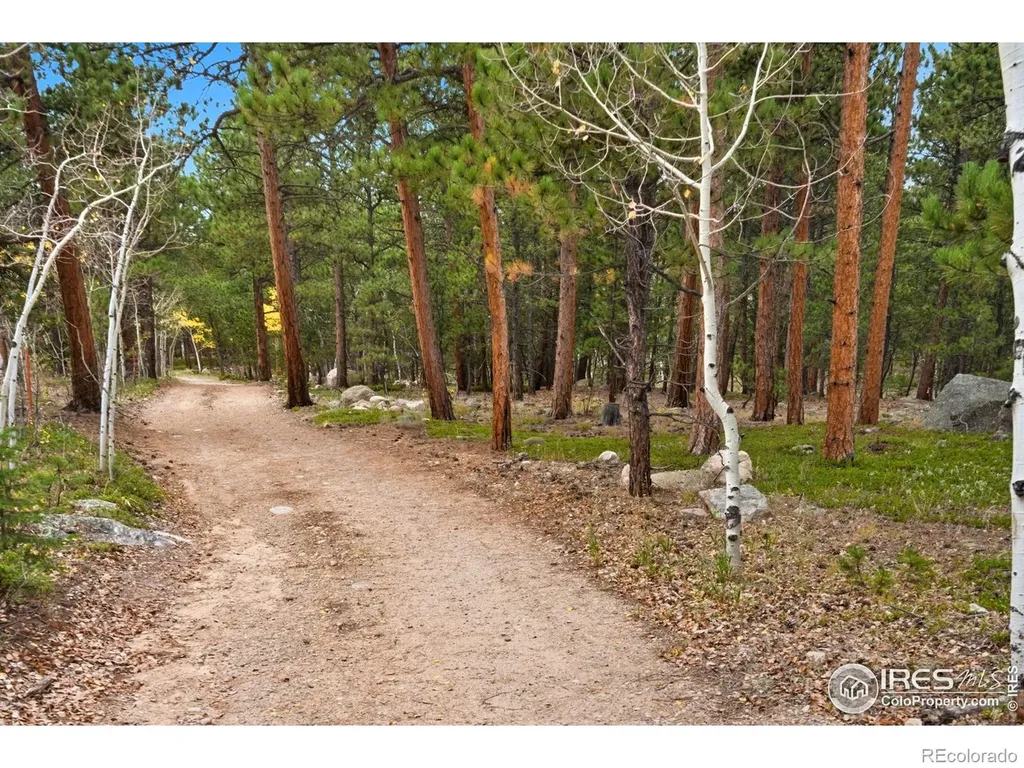 0 County Road 84 W Allenspark CO 80510