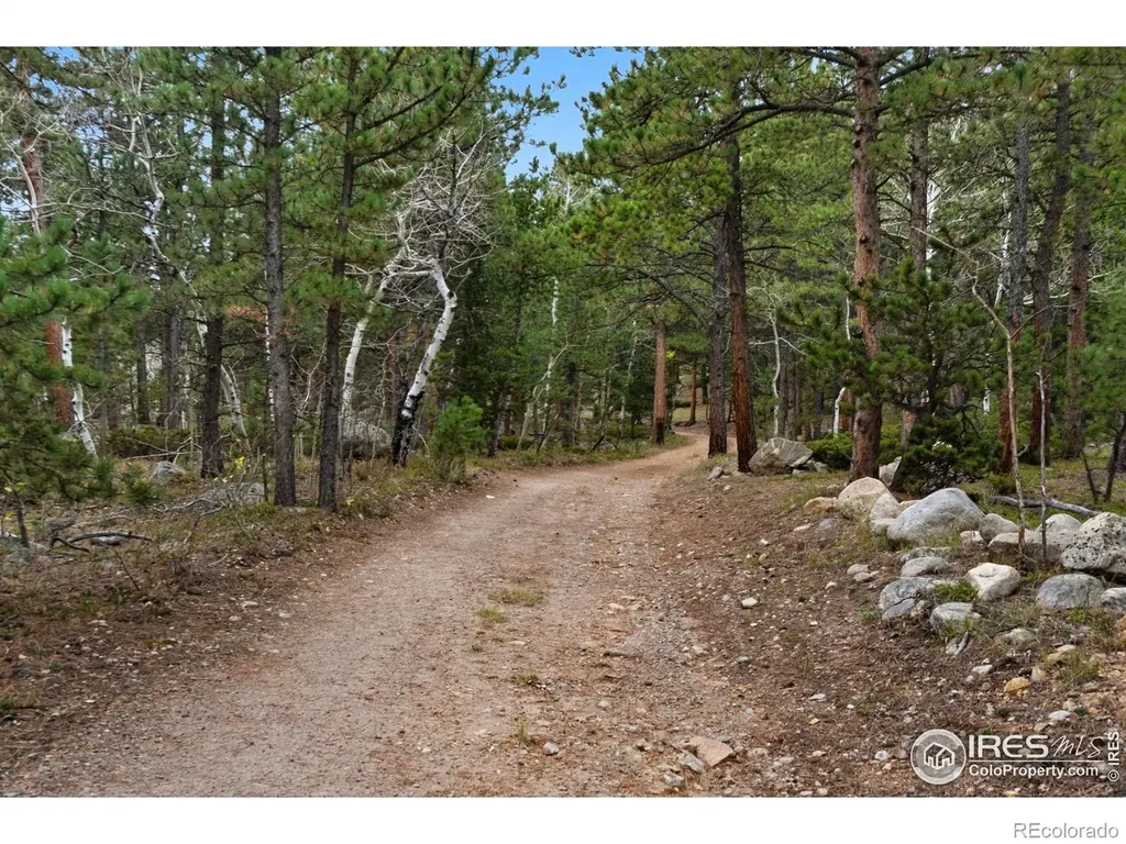 0 County Road 84 W Allenspark CO 80510