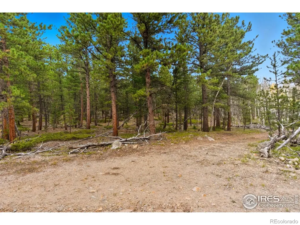 0 County Road 84 W Allenspark CO 80510