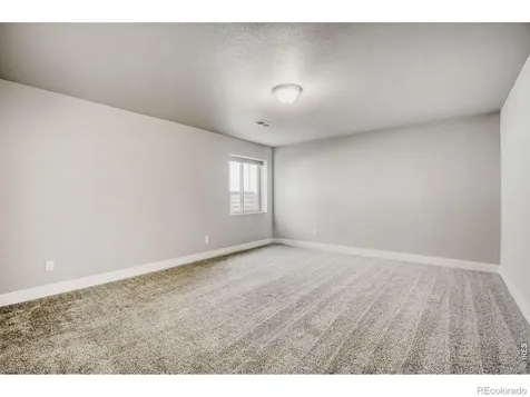 5009 Hawtrey Drive Windsor CO 80550
