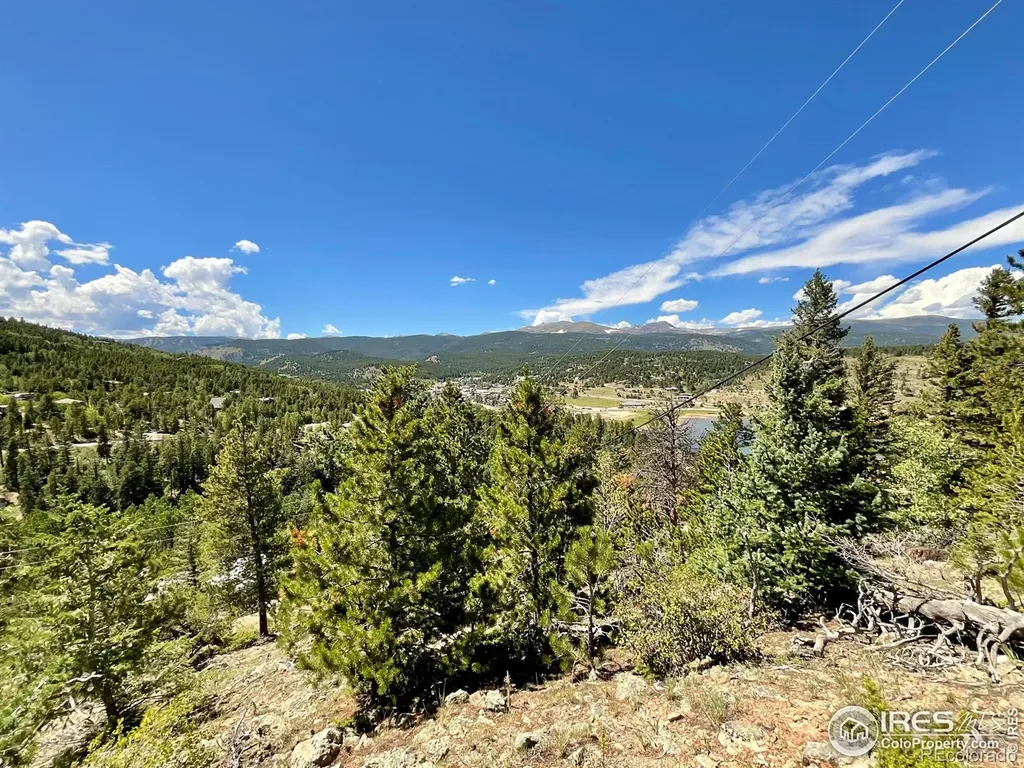 46 Pinecliff Trail Nederland CO 80466