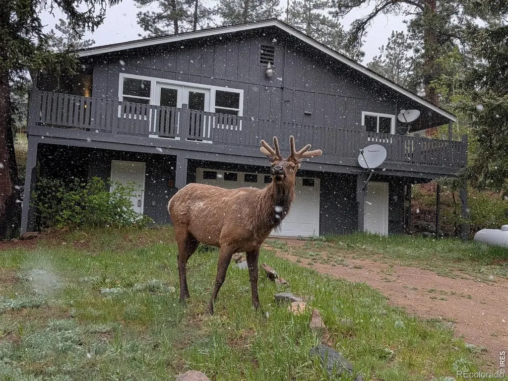 163 West Creek Road Glen Haven CO 80532