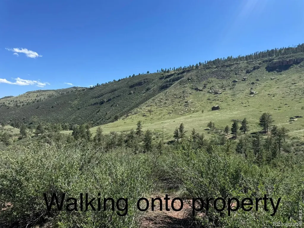 1114 & 1115 Vision Way Lyons CO 80540