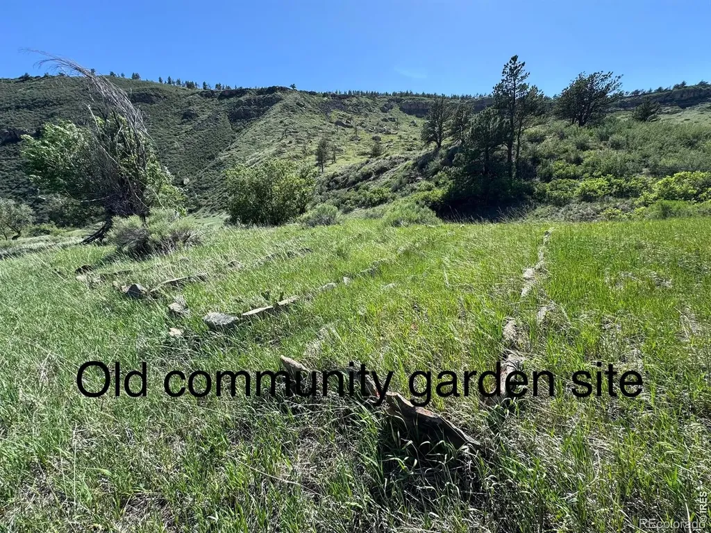 1114 & 1115 Vision Way Lyons CO 80540