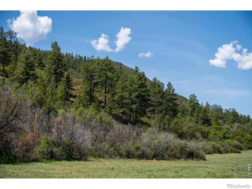 18880 County Road 500 Pagosa Springs CO 81147