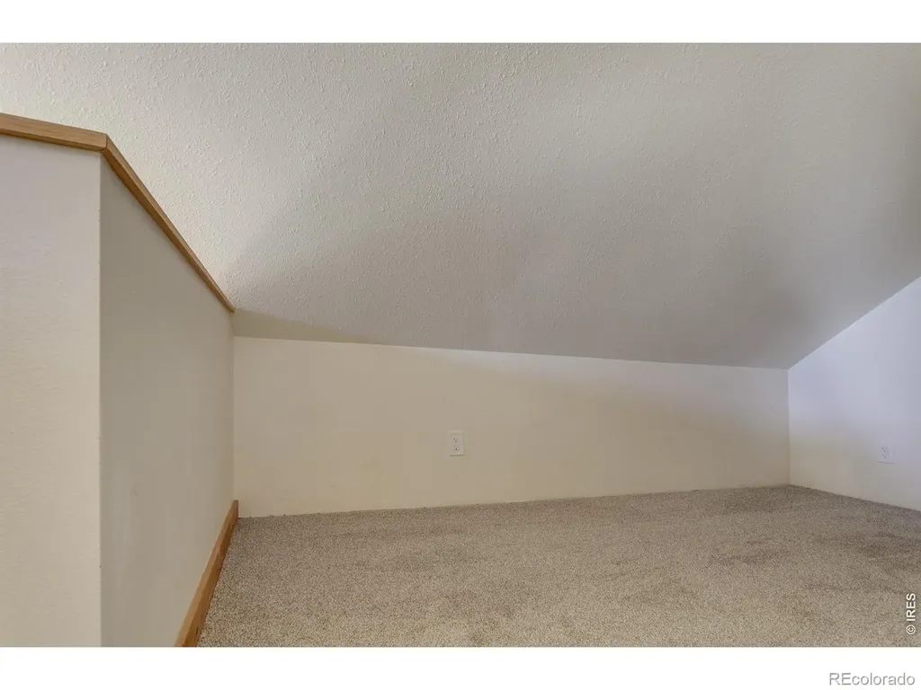 1893 Colard Lane Lyons CO 80540