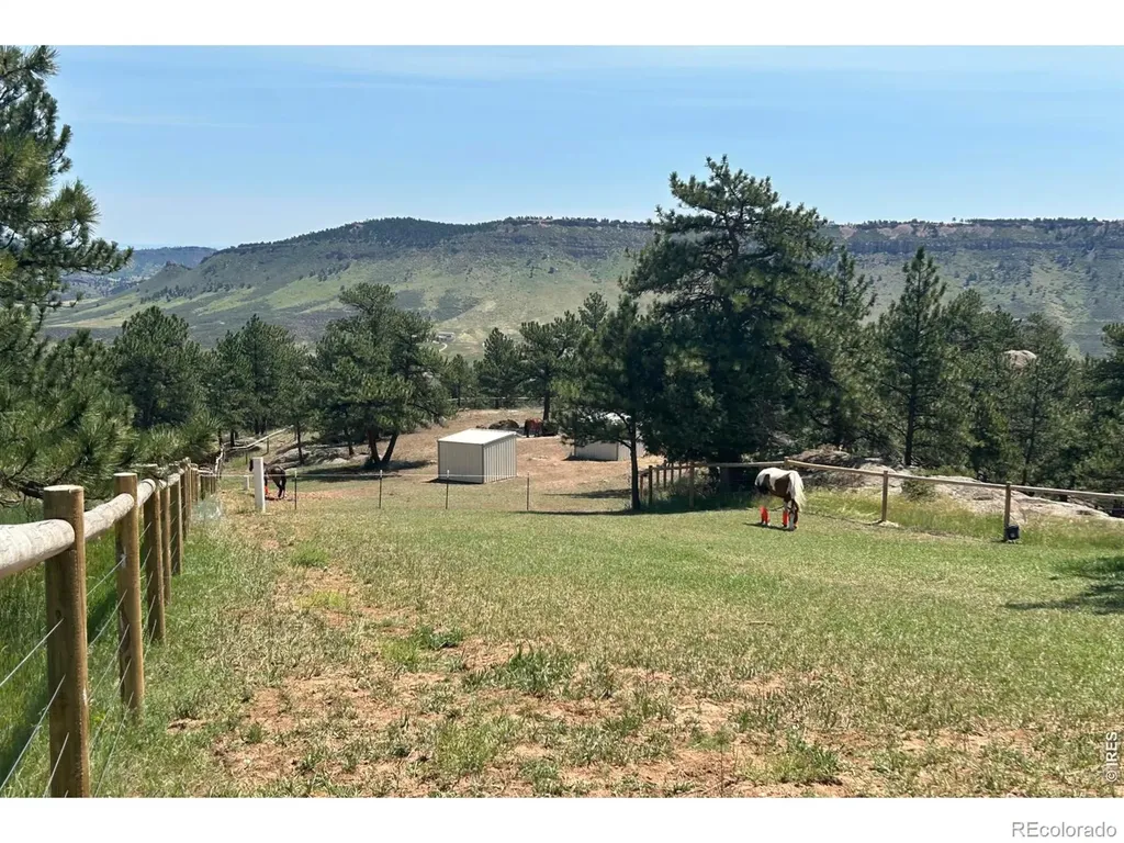 1893 Colard Lane Lyons CO 80540