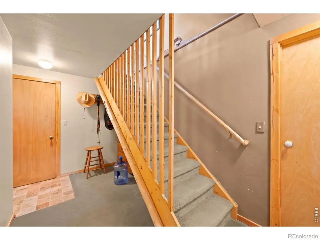 365 Overland Drive Ward CO 80481