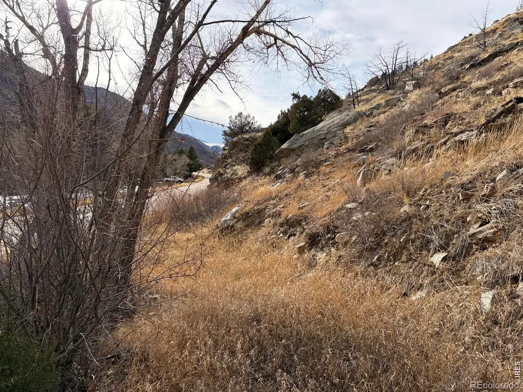 32370 Poudre Canyon Road Bellvue CO 80512