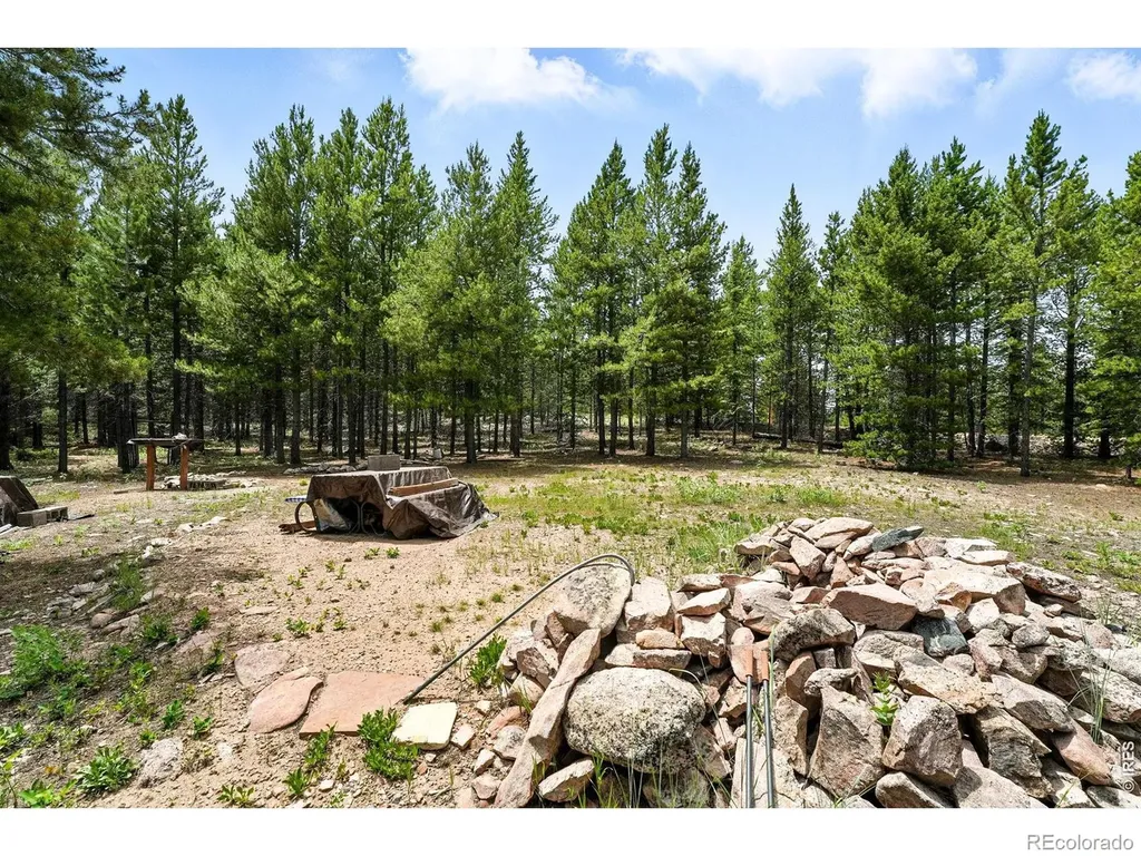 754 Mescalero Drive Red Feather Lakes CO 80545