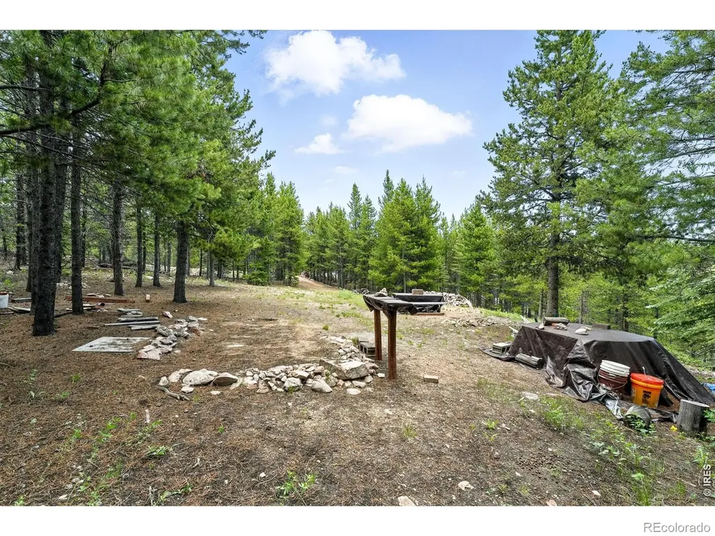 754 Mescalero Drive Red Feather Lakes CO 80545