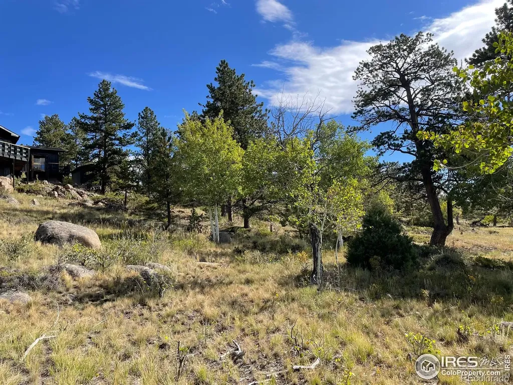123 Tahlequah Way Red Feather Lakes CO 80545