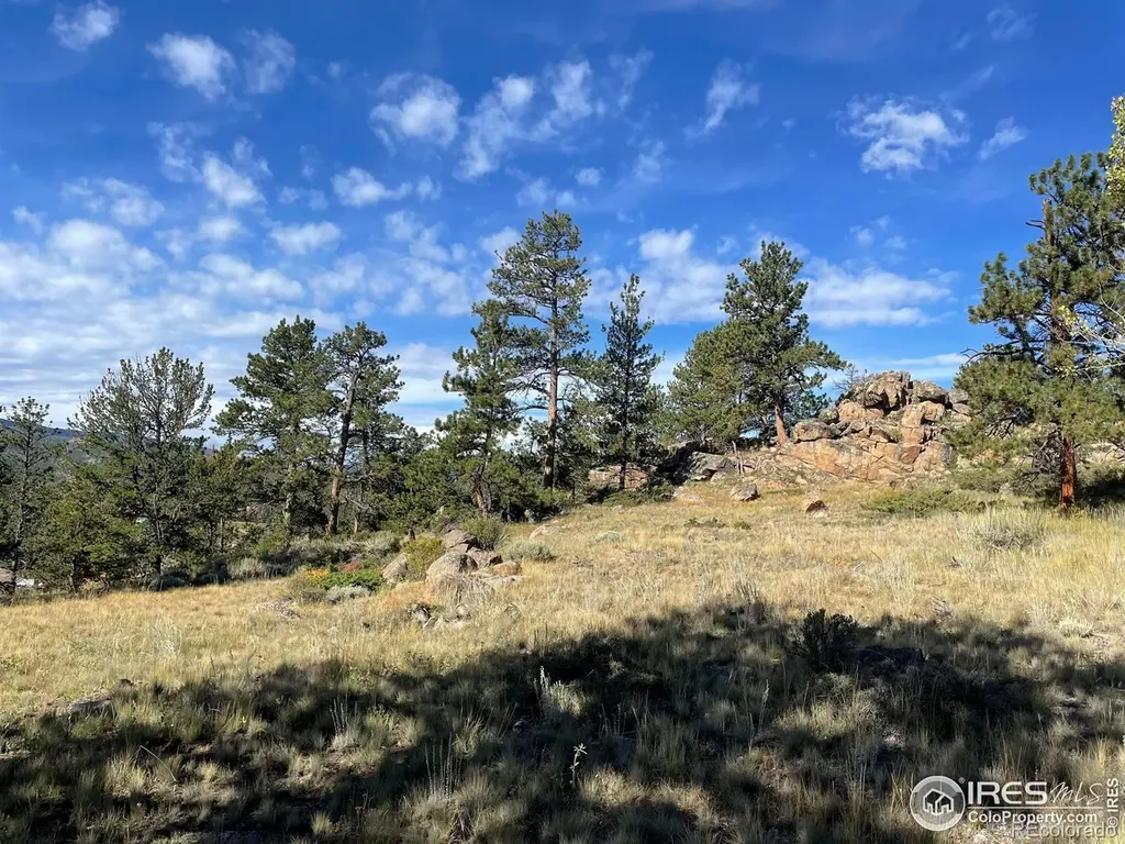 123 Tahlequah Way Red Feather Lakes CO 80545