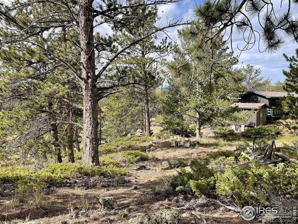 123 Tahlequah Way Red Feather Lakes CO 80545