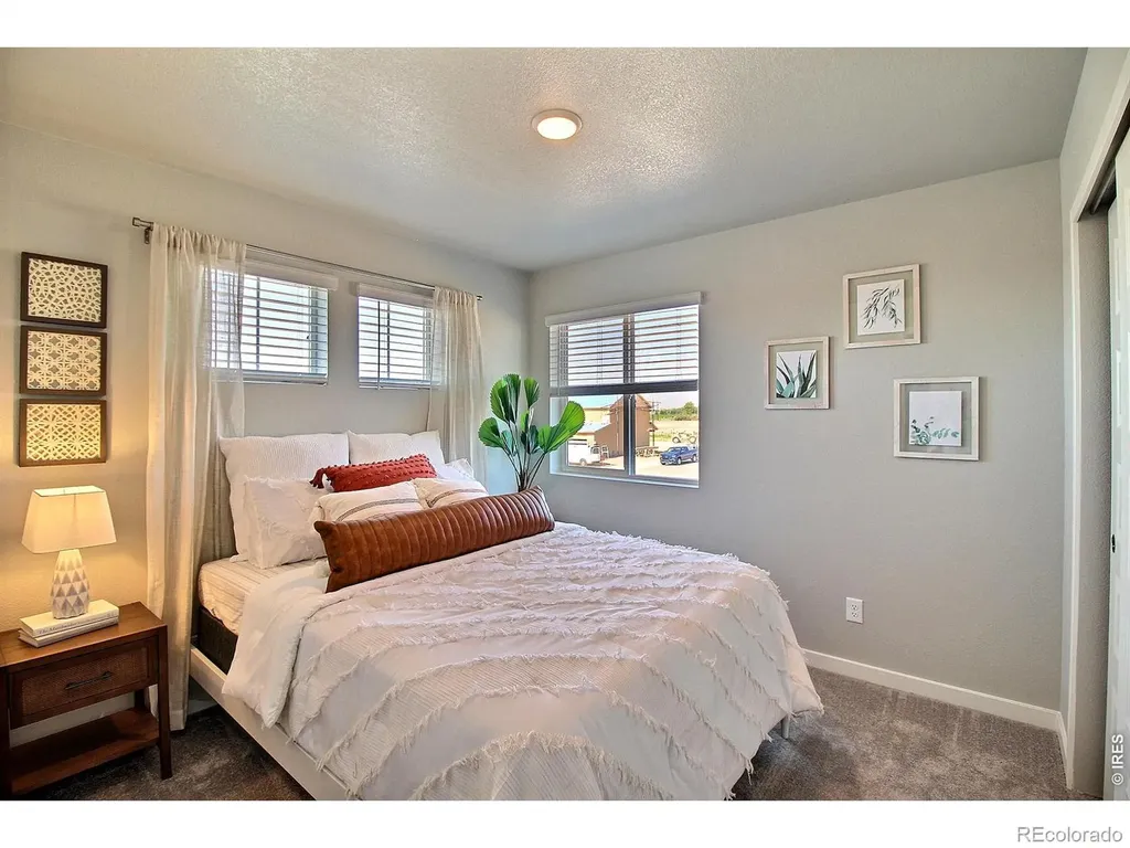 3813 Soapstone Street Evans CO 80620