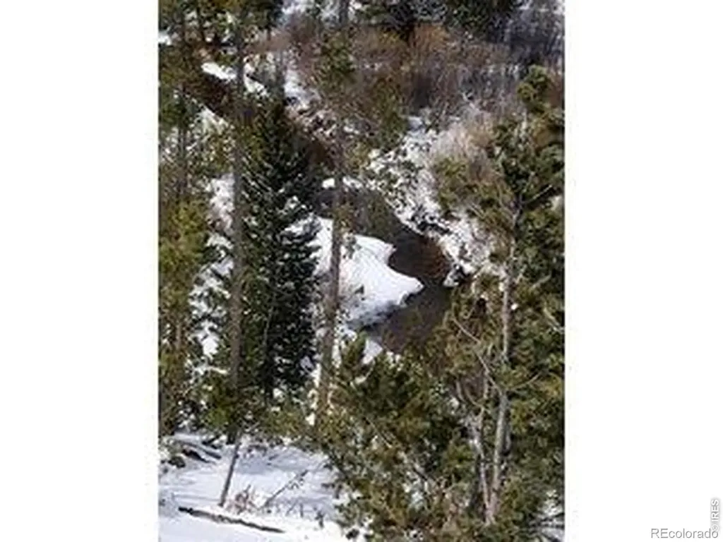 534 Blackfoot Road Red Feather Lakes CO 80545
