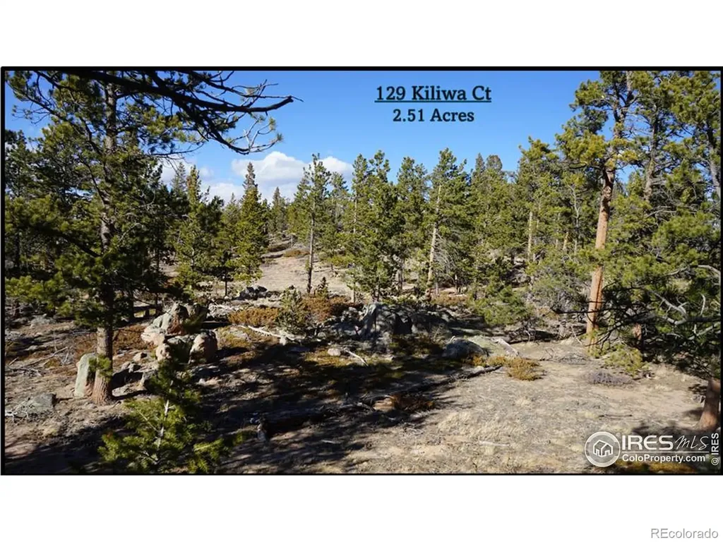129 Kiliwa Court Red Feather Lakes CO 80545