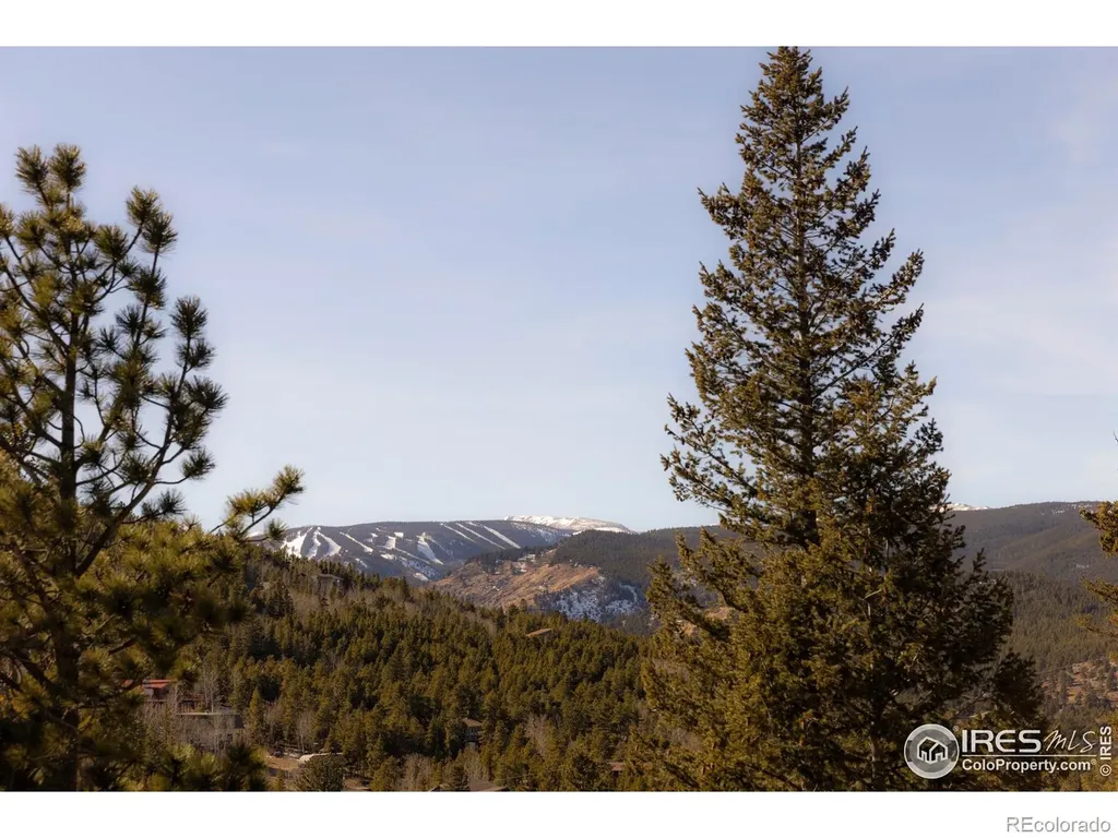 103 W Wildewood Drive Nederland CO 80466